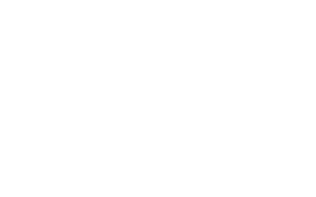 nanolex